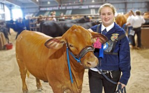Senior Nicole Rosier, awarded for several accomplisments at the state fair, stands with her cow.